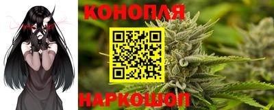 PSILOCYBIN Кимры