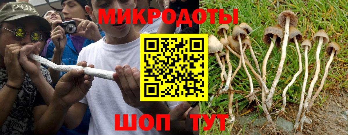 Псилоцибиновые грибы GOLDEN TEACHER  Псилоцибиновые грибы ЛСД  Королёв  цены наркотик  Вход с VPN 